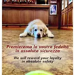 Citta Dei Mille Hotel 3*