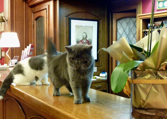 Citta Dei Mille Hotel Bergamo